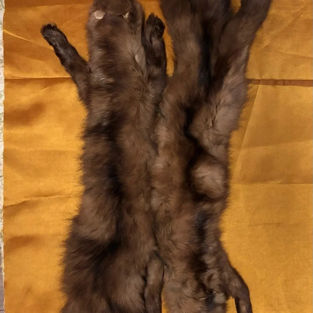 Elegant Brown Fur/Mink Collar - Picture 1 of 12